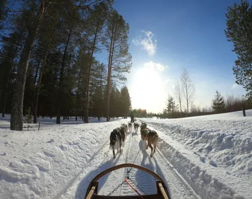 OTL_Gouverneur_Saguenay-hiver-chien-traineau