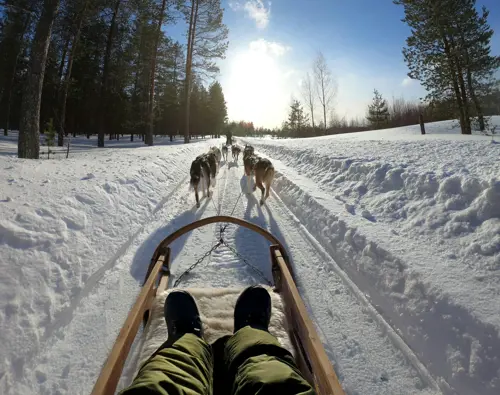 OTL-Gouverneur-Saguenay-dog sledding-winter